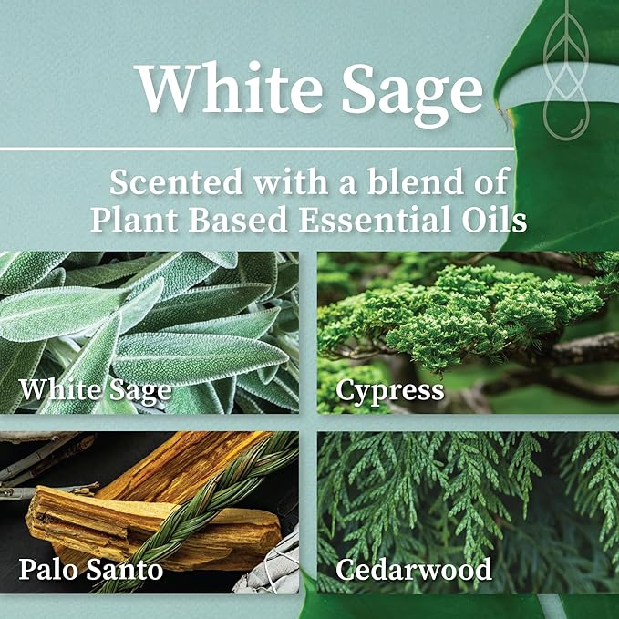 Hemlock Park Apothecary Wood Wick Candle Trio | Gift Set of Three 4 oz Candles Handcrafted with Natural Coconut Wax (Ritual | Sage, Palo Santo, Frankincense)