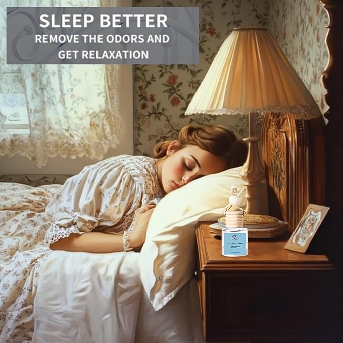 2Pack Sage and Sea Salt Scented Automotive Air Freshener Set, Car Accessories Decoration Hanging Scented Car Diffuser for Men Women Best Gifts