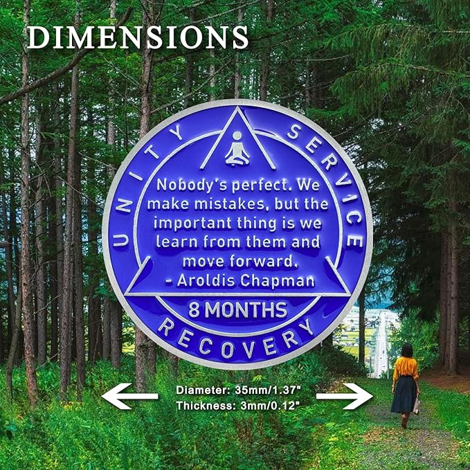 8 Month Sobriety Coin Sobriety Chips AA Chip AA Coins Sober Token Recovery Medallion NA Chips NA Coins from 1 to 12 Months Plastic case Included-Baking Paint Process