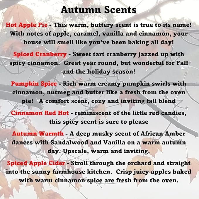 6 Pack Soy Candle Scented Wax Melts Bars Cubes - Fall Scents - Pumpkin Spice, Cranberry, Hot Apple Pie, Autumn Warmth, Apple Orchard and More! for Scented Warmer - Made in The USA