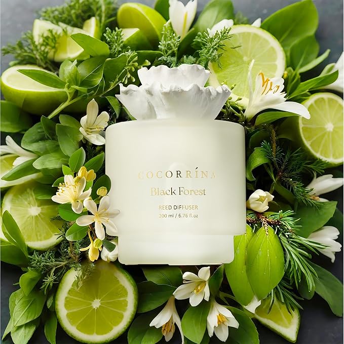 COCORRÍNA Gypsum Flower Reed Diffuser Set for Bathroom Décor – Black Forest Scent, 6.76 oz with Sticks & Oil – Home Fragrance for Bathroom & Living Space