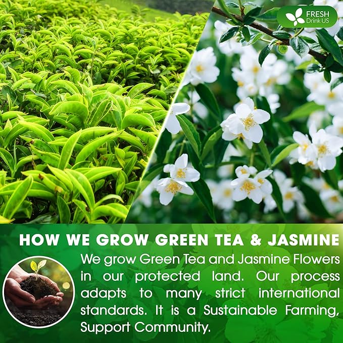 FreshDrinkUS, Premium 40 Jasmine Green Tea Bags, 100% Natural & Pure from Jasmine Green Tea. Jasmine Green Herbal Tea. Made with Natural Material Tea Bags. No Sugar, No Gluten, Vegan.