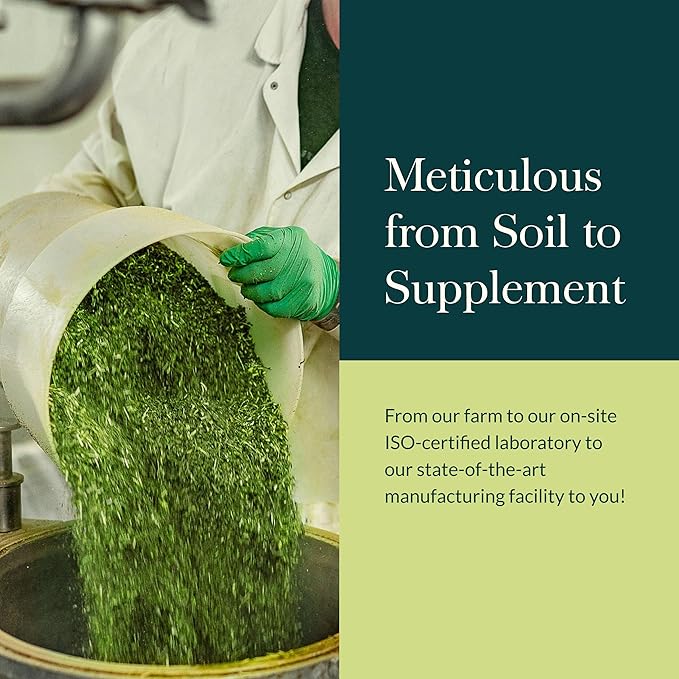 Gaia Herbs Quick Defense - Fast-Acting Immune Support Supplement* - Echinacea, Black Elderberry, Ginger & Andrographis - 80 Vegan Liquid Phyto-Capsules (8-Day Supply)