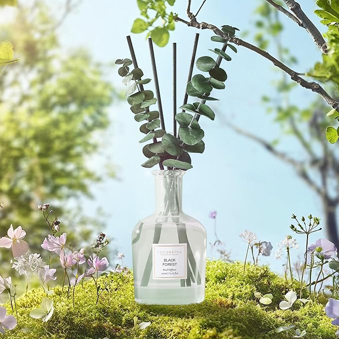 COCORRÍNA Eucalyptus Reed Diffuser, Black Forest Scent – 6.76 oz Essential Oil with Sticks & Dried Eucalyptus Branches, Home Fragrance for Bedroom or Bathroom Décor