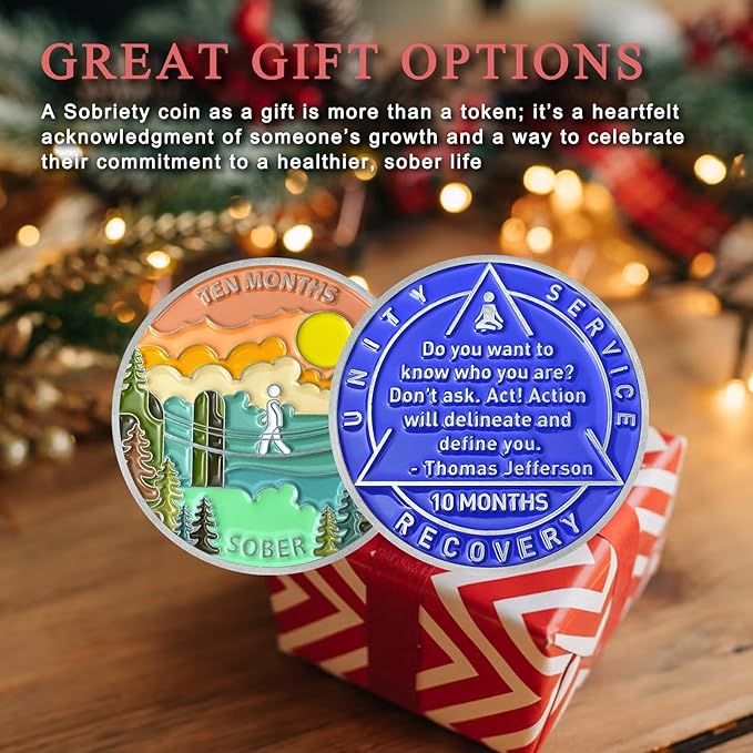 10 Month Sobriety Coin Sobriety Chips AA Chip AA Coins Sober Token Recovery Medallion NA Chips NA Coins from 1 to 12 Months Plastic case Included-Baking Paint Process