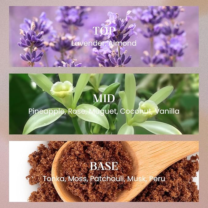 M&SENSE 8.4 oz Large Reed Diffuser for Home | Lavender Vanilla Scent Oil Diffuser with Sticks | Bedroom Bathroom Living Room Decor