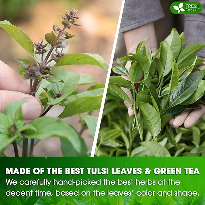 FreshDrinkUS, Premium 55 Tulsi Green Tea Bags, 100% Natural, Blend of Tulsi Holy Basil Leaves, and Green Tea Leaves. Made with Natural Material Tea Bags. No Sugar, Vegan.