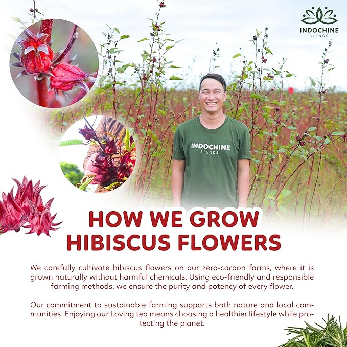 Indochine Blends Loving Tea | Organic Rosemary Tea Bags | Black Tea, Rose, Hibiscus & Organic Rosemary | Sugar-Free, Caffeine-Free Herbal Tea for Relaxation | 4.4 oz | 50 Corn-Fiber Pyramid Bags