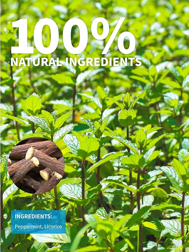 TeeLux Licorice Peppermint Tea, Natural Soothing Peppermint with Sweet Licorice Root, Caffeine Free, 100 Count