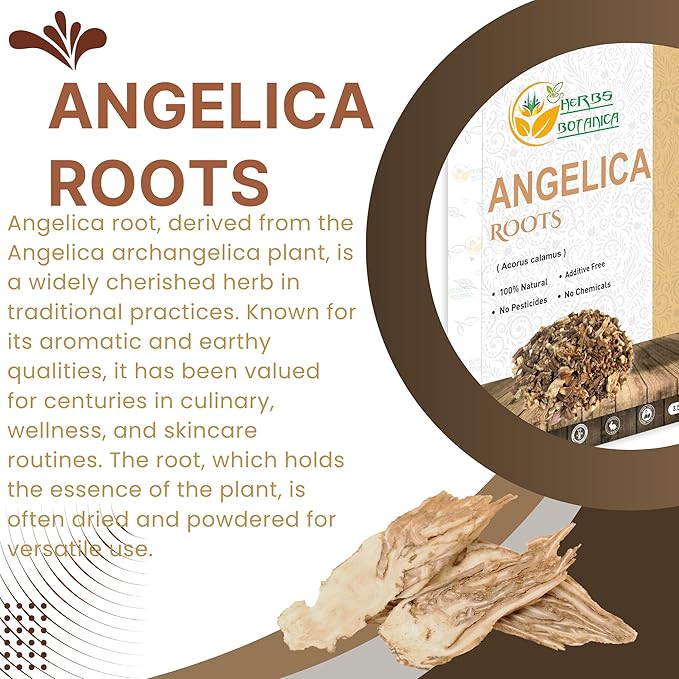Herbs Botanica Angelica Root Loose Cut and Sifted Angel of Herbs Angelica Archangelica Angelica Herb for Herbal Tea, Baking Add to Tea Blends 3.5 oz