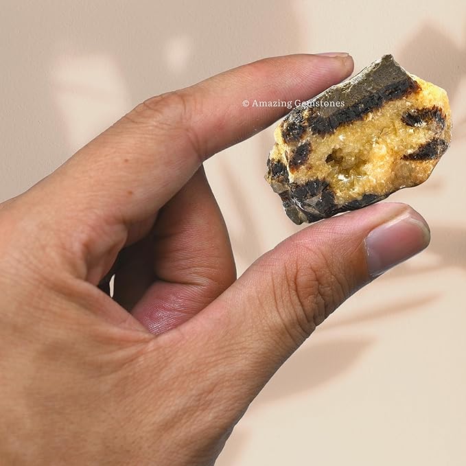 Amazing Gemstone 2 Pieces Septarian Raw Crystals and Healing Stones, Natural Rocks for Tumbling and DIY Raw Stones and Crystals