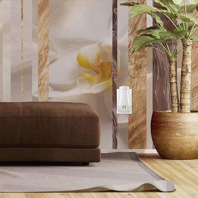 Glade PlugIns Refills Air Freshener, Scented and Essential Oils for Home and Bathroom, Sheer Vanilla Embrace, 3.35 Fl Oz, 5 Count