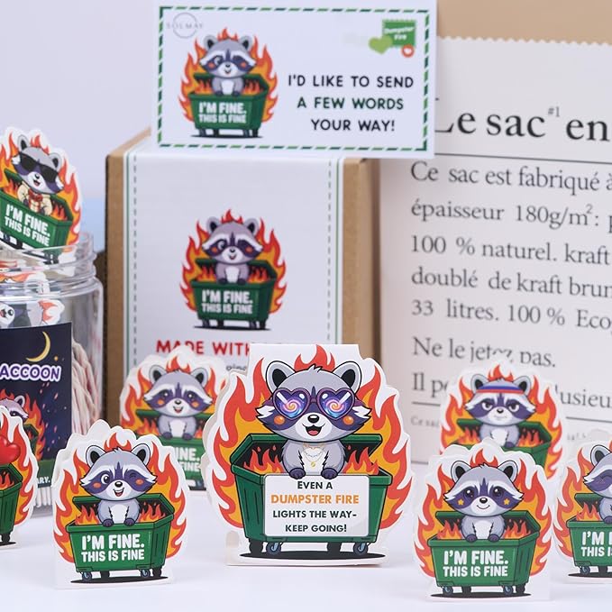 Funny Raccoon Dumpster Fire Affirmation Jar – 60 Sarcastic Positive Notes for Emotional Support, Mini Dumpster Fire Gift for Coworkers, Funny Office Desk Decor & Stocking Stuffers – SOLMAY