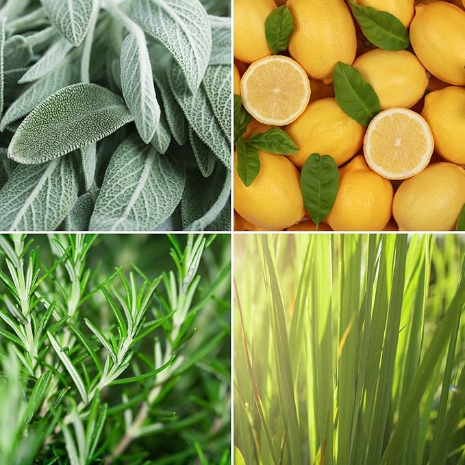 Candle Wood Collection, 15 oz, 1 Wooden Wick, Lemon + Sage, Square Glass Jar Candle