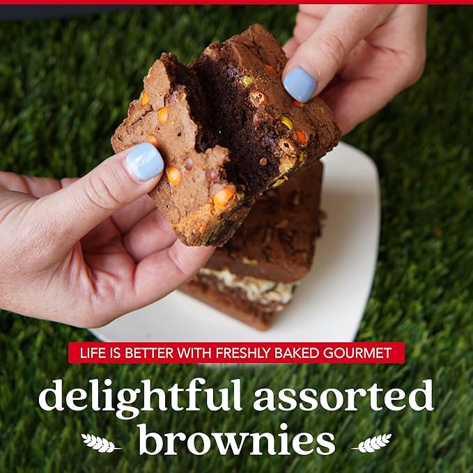 David's Cookies Assorted Brownies in Carton Box | Enjoy Our Delicious, Great for Sharing Freshly-Baked Assorted Brownie Snacks While Bonding With Friends And Family - Single Pack