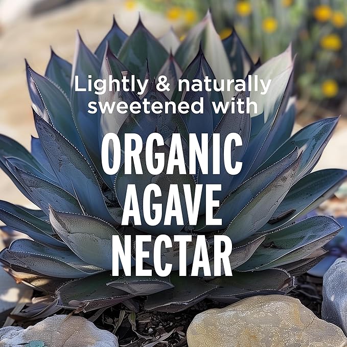 LIFEAID Vitality Blend, Daily Vitamins, Healthy Soda Replacement, 100% Clean, Vegan, GF cans, 12 Fl Oz (Pack of 24)