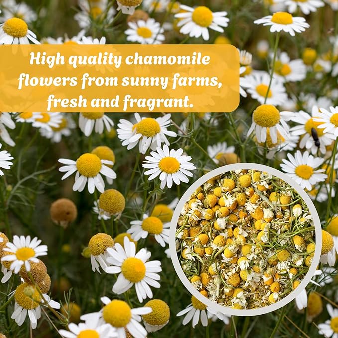 4.23oz Premium Dried Chamomile Flowers – Natural Whole Loose Chamomile for Tea, Baking, Crafts & Gifts, No Additives, Airtight Tin for Gifting (120g)