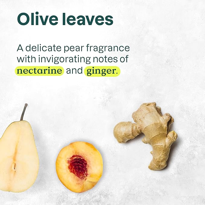 ATTITUDE Body Cream, EWG Verified Moisturizer, Vegan Moisturizing Products For Dry Skin, Dermatologically Tested, Olive Leaves, 8 Fl Oz