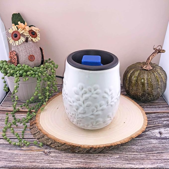 Fall Wax Melts Wax Cubes 5 Pack - Orange Cranberry Blueberry Apple Wax Melts Fall Scents, Soy Blend Fall Scented Wax Melts, Cookie Food Wax Melts (30 Cubes, 11 oz, Thanksgiving Wax Melts Variety Pack)