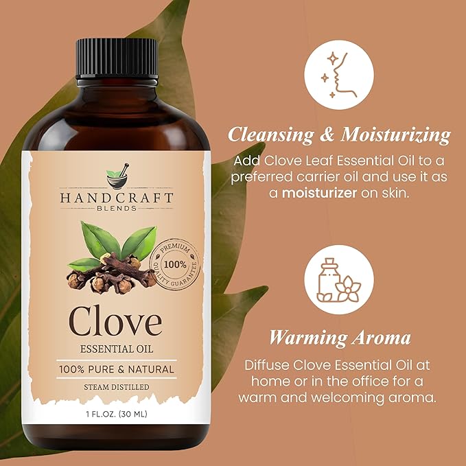 Handcraft Blends Clove Essential Oil – 1 Fl Oz – 100% Pure and Natural – Premium Grade Essential Oil for Diffuser and Aromatherapy, Skin, Massage, Candle and Soap Making Fragrance