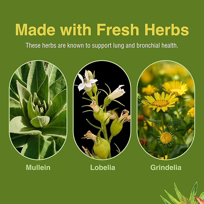 Herbs Etc - Lung Tonic - Promotes Healthy Lung Function - 1fl oz