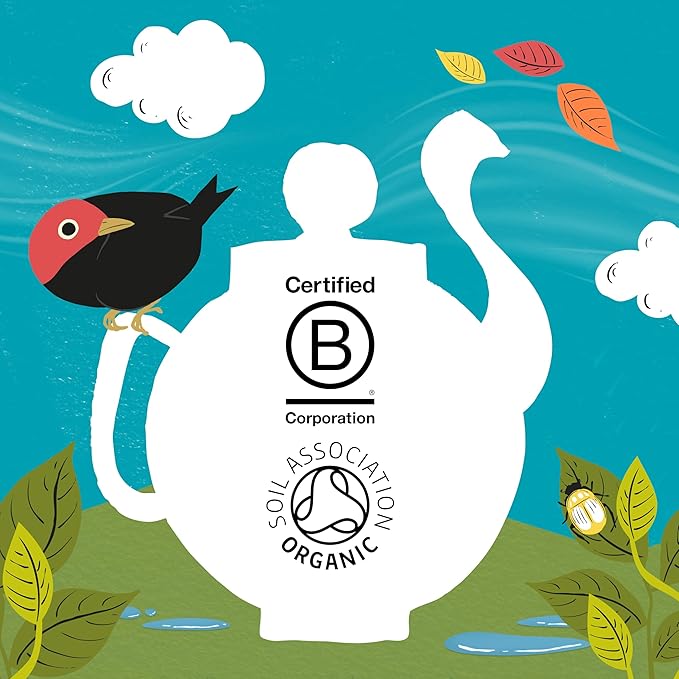 Clipper Tea, Organic Fairtrade Everyday, Organic, USDA Non-GMO, Fair Trade, Sustainable Caffeinated Tea, 1 Pack, 80 Unbleached Tea Bags