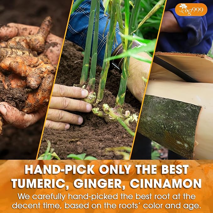 TOG999, Premium 6oz/100 cups Ginger Turmeric Cinnamon Loose Leaf Herbal Tea. Improve Digestion, Support Brain, Weight, Skin and Sleep. Premium Quality Spiced Blend. No Sugar, No Caffeine, No Gluten, Vegan.