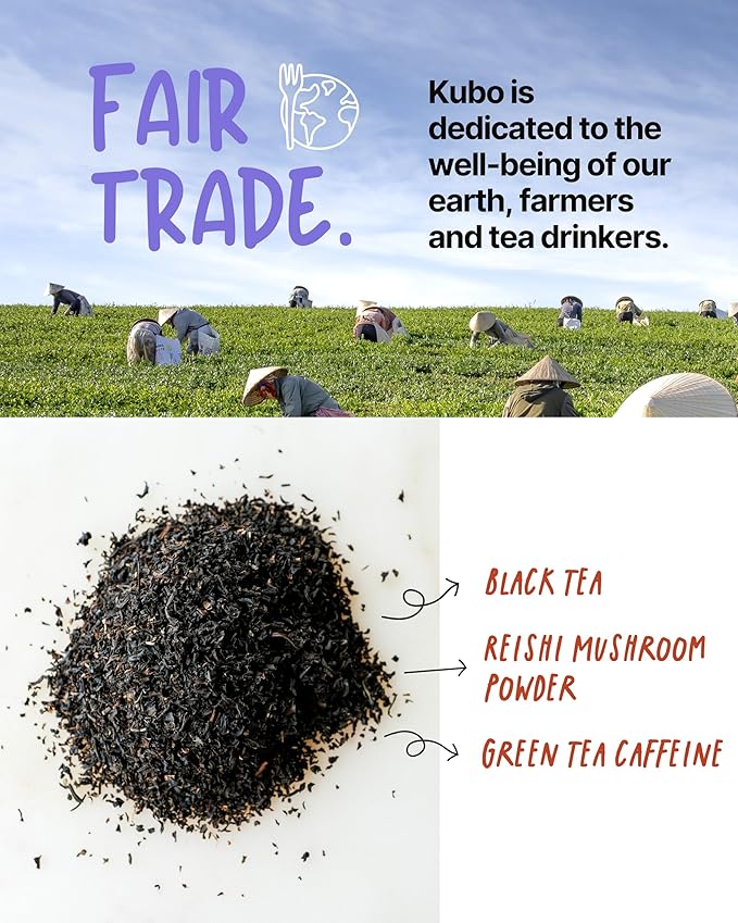 Kubo Tea Reishi Breakfast Black Tea - High Caffeine Reishi Tea w/ 20 Servings (155mg Caffeine Each) - Coffee Substitute Mushroom Tea Bags w/Pillow Bag Design, Biodegradable and Compostable Packaging