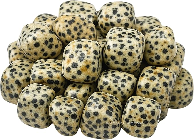 Amazing Gemstone Dalmatian Jasper Crystals and Healing Stones Tumbled - 1 oz Dalmatian Jasper Stone, Natural Healing Stones for Energy Balance, Stress Relief - Premium Polished Gems Rocks