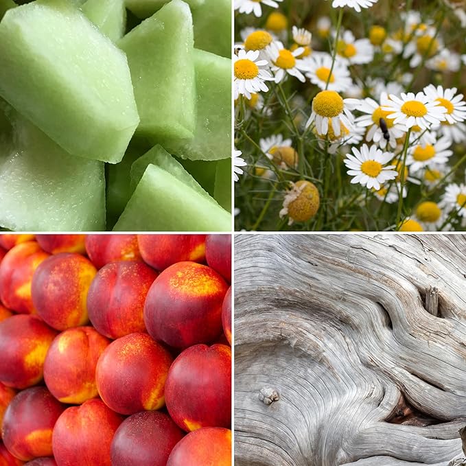 Aroma from Nature Wellness Collection Candle, 12 oz, 2 Cotton Wicks, Chamomile Woods, Large Painted Jar