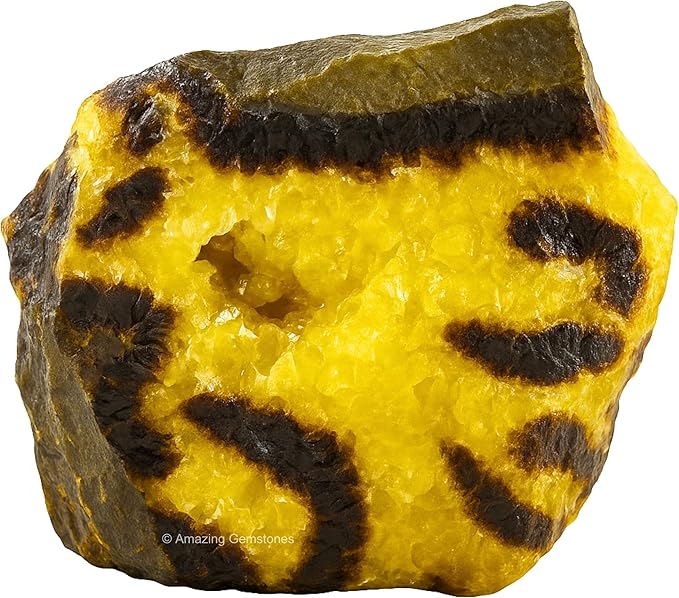 Amazing Gemstone 2 Pieces Septarian Raw Crystals and Healing Stones, Natural Rocks for Tumbling and DIY Raw Stones and Crystals