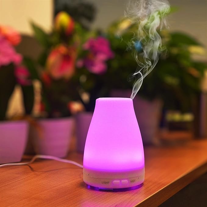 EcoGecko Essential Oil Diffuser, Aroma Oil Diffuser with Color Changing LED Lights Includes Cinnamon and Orange Oils