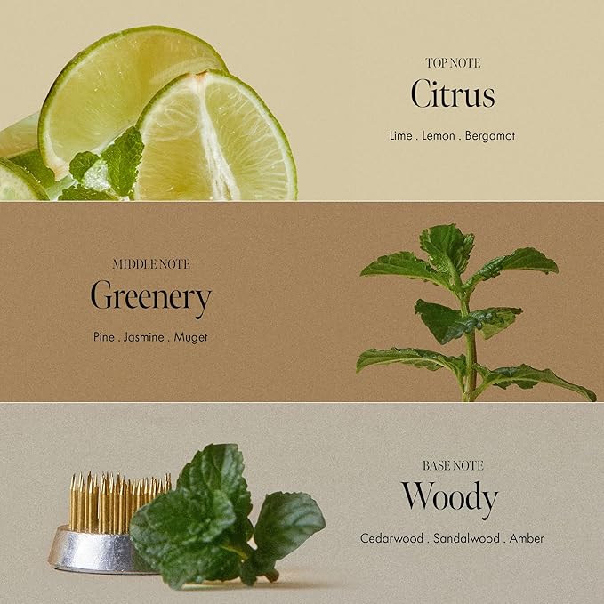 Lime Sunday Refresh Hair Vinegar with Vitamin C, Vinegar, Green Mint for Deep Cleansing Oily Scalp and Reducing Oil Production, Lime Citrus Scent, Silicone, Sulfate & Paraben Free (200ml / 6.76 fl.Oz)