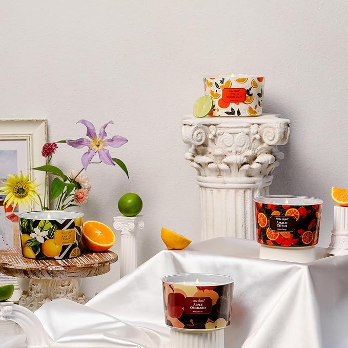 HomeLights Soy Wax Candles for Home Scented, 4-Wick Candles in Apple Orchard Scented, Aromatherapy Candles Gift for Parties, Relaxing, Eclectic Mixed Styles, 18oz