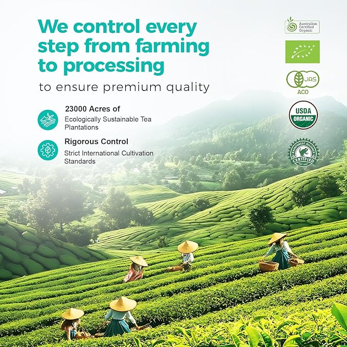 Emerail Organic Matcha Powder, USDA-Certified Pure Matcha Green Tea Powder, Premium Culinary Grade, Perfect for Lattes Smoothies and Baking, Sugar Free (200g / 7oz Pouch)