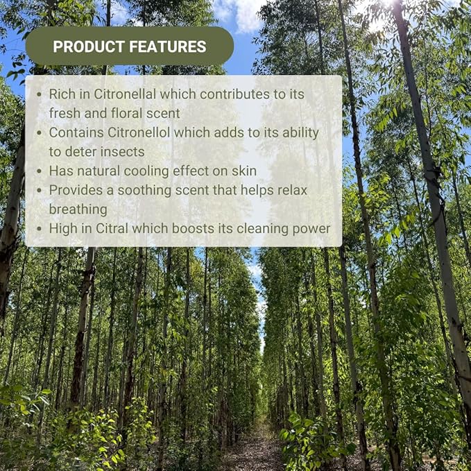 Lemon Eucalyptus Oil by Eucaliptus from Brazil - Pure Lemon Eucalyptus - 100% Pure Steam Distilled Natural Aceite de Eucalipto Limón - Aromatherapy - Premium Therapeutic Grade (8oz)