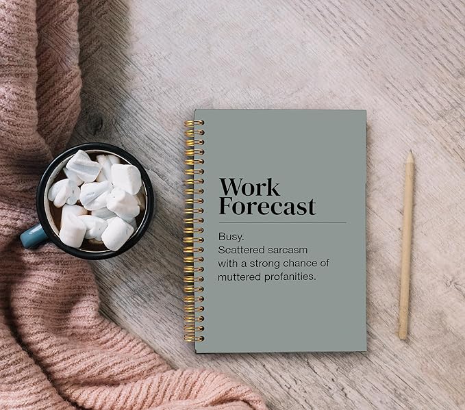 Funny Office Notebooks for Work, Sarcastic Office Journal, Work Humor Gifts Journal for Coworkers Women Men, Funny Office Supplies, Spiral Notebooks 5.5x8.3 Inch