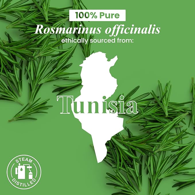 Handcraft Blends Organic Rosemary Essential Oil – 1 Fl Oz – 100% Pure and Natural – Premium Grade Essential Oil for Diffuser and Aromatherapy