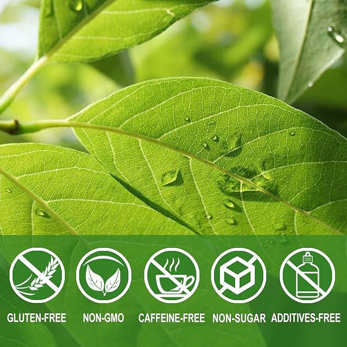 Jarteela - Soursop Tea Bag, 1.5g x 60 Count - Pure Graviola Tea - Natural Soursop Leaves Herbal Tea Bags - Non-GMO - Caffeine-free Tea - Support Digestive & Healthy Skin