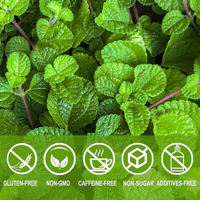 Jarteela - Spearmint Tea Bag, 1.5g x 60 Count - Pure Spearmint Leaves - Natural Herbal Tea Bags for Digestion - Non-GMO - Caffeine-free Tea (Pack of 2)