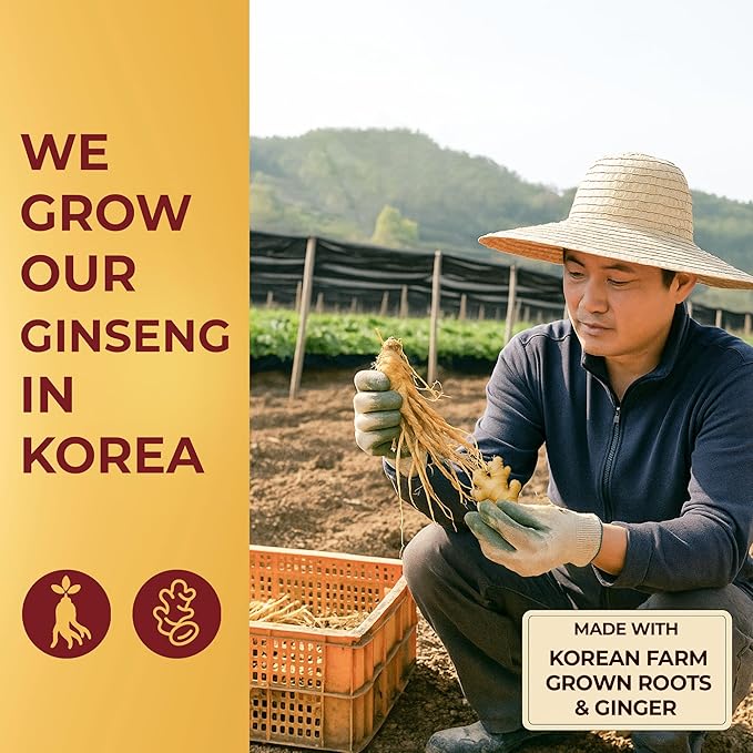 SAMSIDAE Korean Panax Red Ginseng with Ginger Tea, Box of 50 Bags, Supports Circulation, Energy, Immunity, and Digestion – Smooth Taste