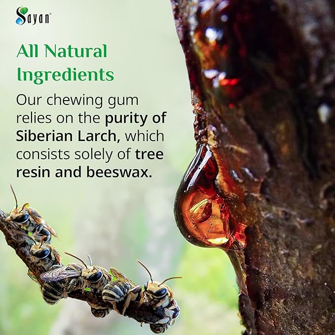 Sayan Sugar Free All Natural Gum, Siberian Larch Tree Resin and Beeswax Chewing Gum for Fresh Breath, Vegetarian, Non-GMO, No Sugar, Gluten Free, Aspartame Free, No Preservatives - 2 Packs (32 Pieces)