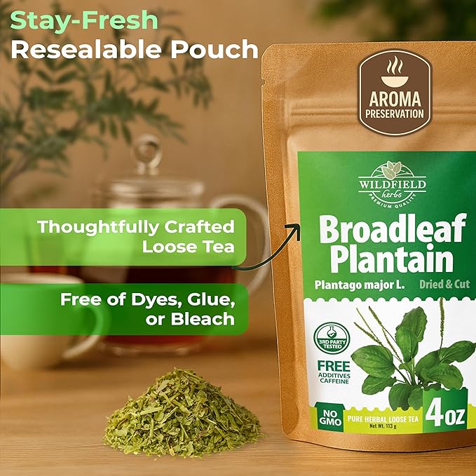 4 oz. Broadleaf Plantain Leaf Herb Tea Dried Plaintains Leaves (Plantago Majoris Folia) - 113g Greater Plantain Leaf Tea Llanten