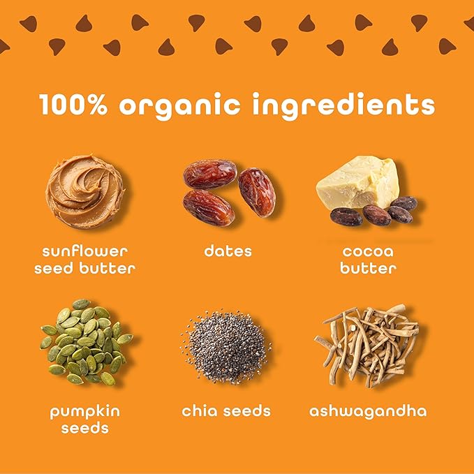 Feel Vegan Protein Bars | Sunbutta Choco Chip | Keto | Gluten Free | Organic | 15g Plant Protein | Low Carb | High Protein | Dairy Free | Low Sugar | Nut, Grain, Soy Free | Non GMO | 10 Pack