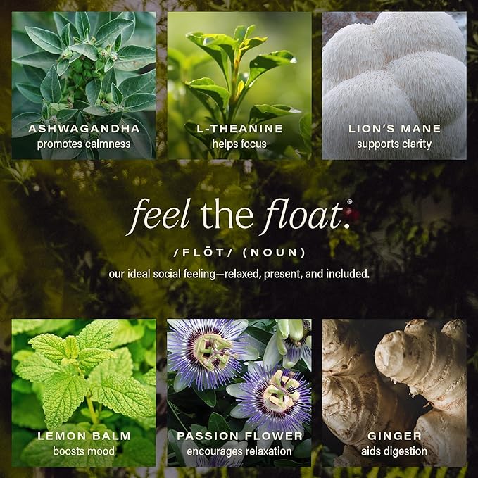 Hiyo Organic Social Tonic- Passion Fruit Tangerine, 12 Pack – N.A. Functional Seltzer, Sparkling Water Crafted with Organic Adaptogens, Nootropics, & Botanicals