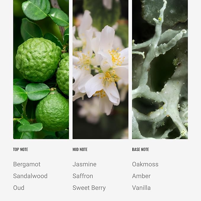 Hotel Collection - Crystal Oud Single Wick Classic Candle - Hotel Inpsired Luxury Candle - 90 - Hours Burn Time - Hints of Bergamot, Saffron, and Amber - 14 oz - Black