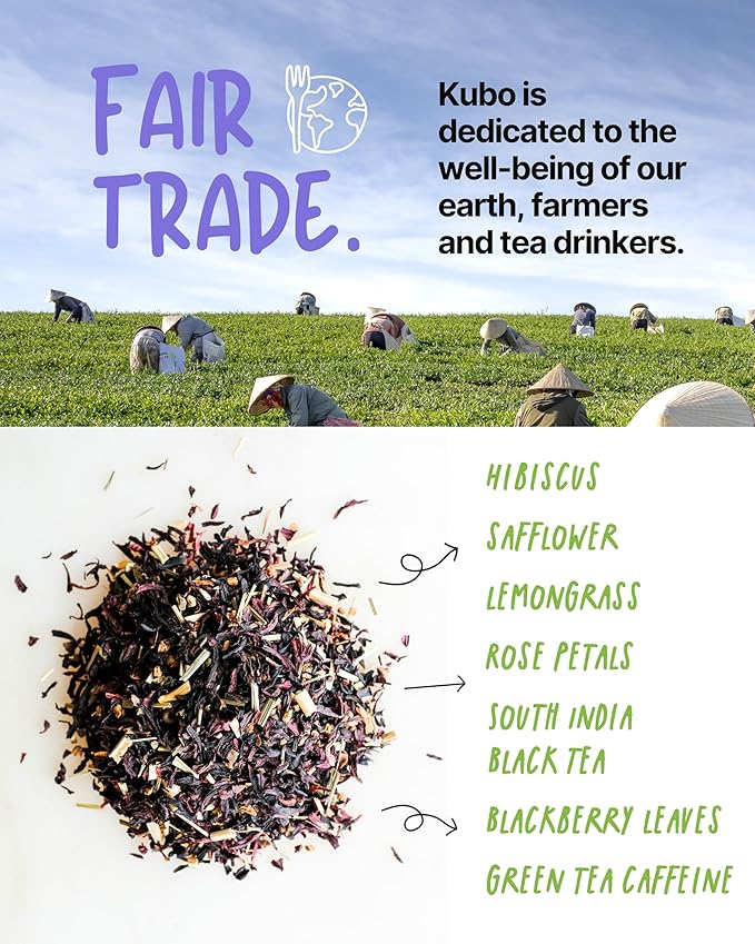 Kubo Tea Organic High Energy Iced Tea - High Caffeine Coffee Substitute with 20 Servings (155mg Caffeine each) - Pillow Tea Bags - Half & Half Lemonade Flavor w/Compostable & Biodegradable Packaging