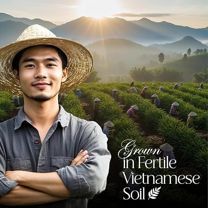 50 PACK Ginger-Turmeric Tea Bags – Individual Wrapped Tea Bags – All Natural Herbal Tea | Caffeine Free | No Preservatives, No Sugar – Great For All Seasons