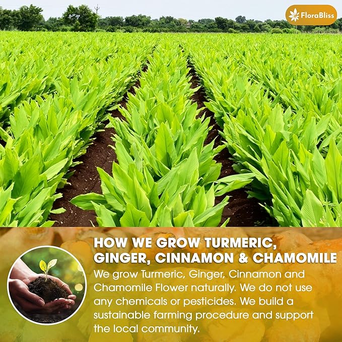50 Bags Premium Turmeric Ginger Cinnamon Tea with Upgraded Chamomile, Extra Strength 2.2g/Bag, 100% Natural, Caffeine-Free, Vegan, Eco-Friendly, Supports Digestion, Relaxation