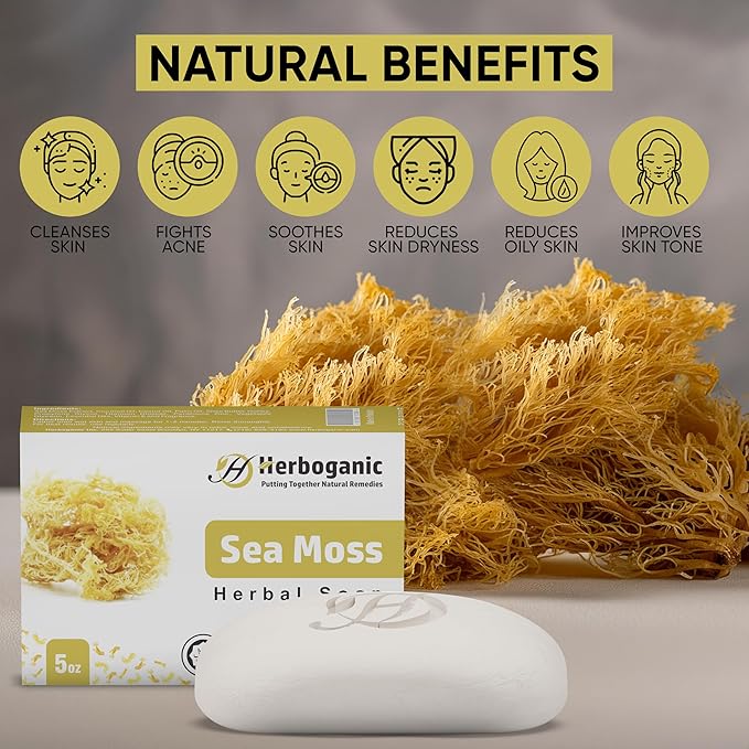 HERBOGANIC Sea Moss Herbal Soap | Pack of 6 of 5oz soap Bar | Ideal for Men and Women, Soothing and Nourishing Soap for Moisturization